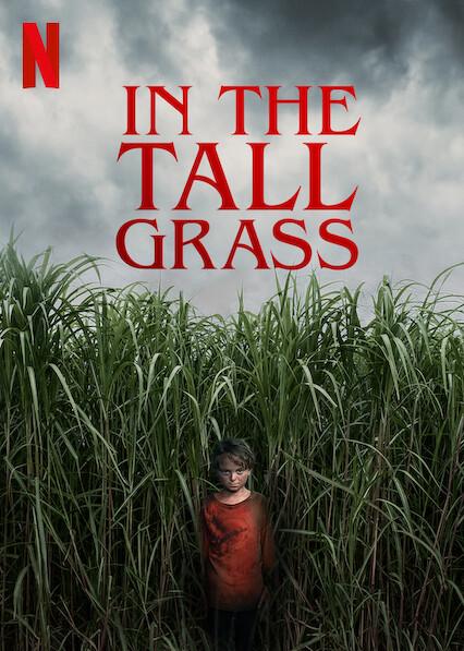 In the Tall Grass