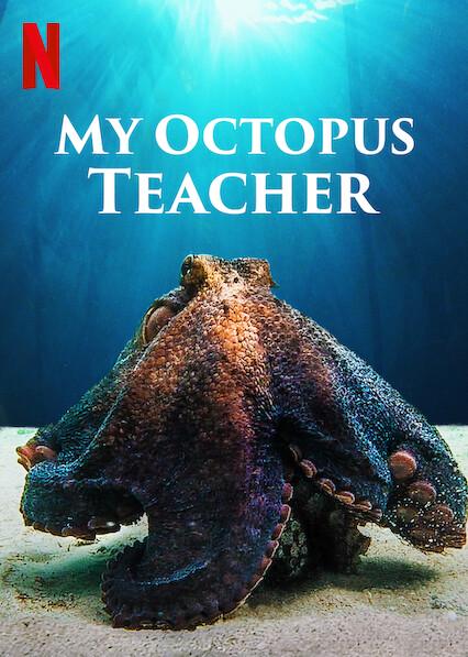 My Octopus Teacher