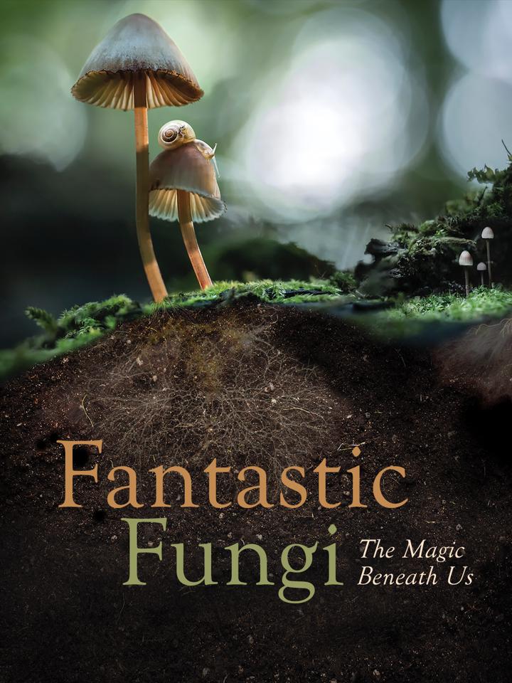 Fantastic Fungi