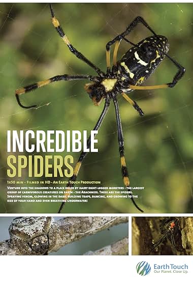 Incredible Spiders