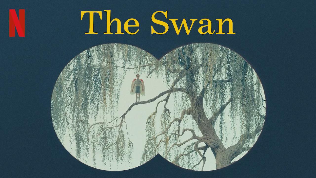 The Swan